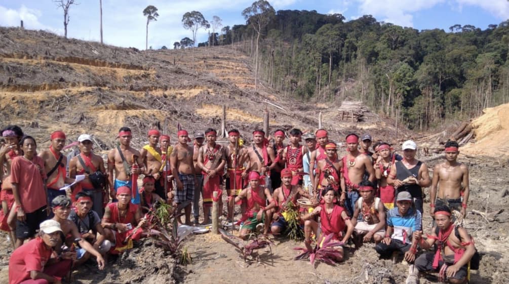 Indigeni Dayak in posa nel mezzo di una foresta tagliata a raso