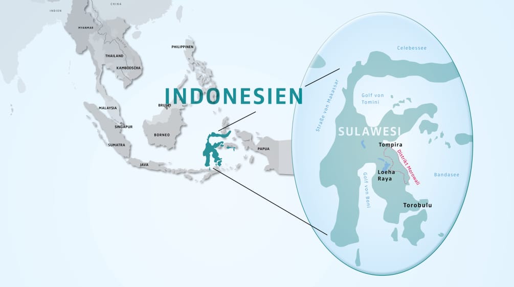 Mappa dell'Indonesia, con in evidenza l'isola di Sulawesi