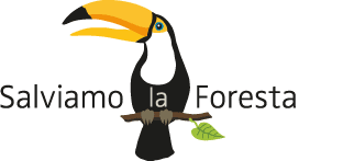 Salviamo la foresta