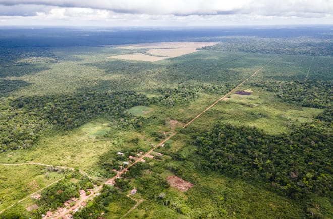 Veduta aerea di una piccola comunità lungo una strada rettilinea, sullo sfondo le piantagioni di palma da olio avanzano e riducono la foresta pluviale.