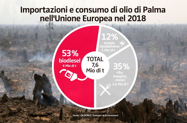 Importazioni e consumo di olio di Palma nell'Unione Europea nel 2018