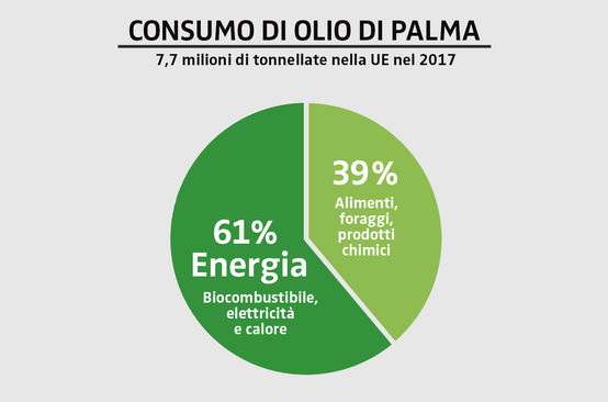 Consumo di olio di palma nella UE nel 2017