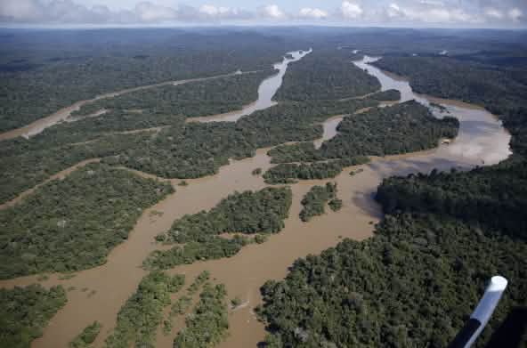 Veduta aerea del paesaggio fluviale della foresta amazzonica