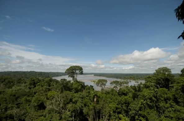 Vista dall'alto della foresta e del fiume nel Parco nazionale Yasuní.