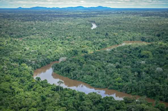 Veduta aerea di un fiume che scorre nella foresta amazzonica in Brasile
