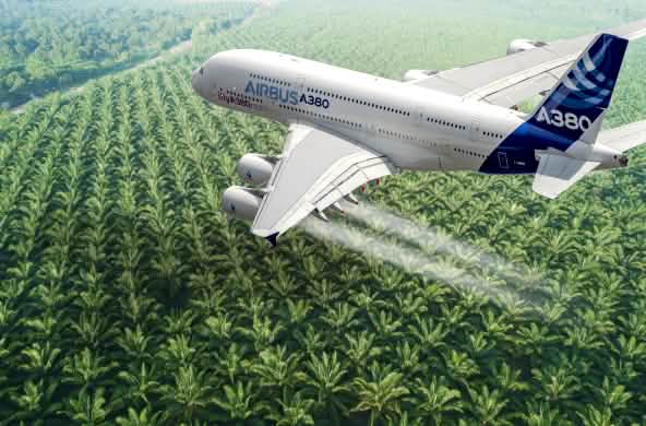 Fotomontaggio: un aereo Airbus che sorvola una piantagione di palma da olio