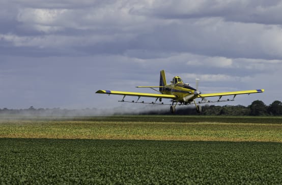 Un aereo a elica irrora dall'alto un campo di soia con pesticidi.