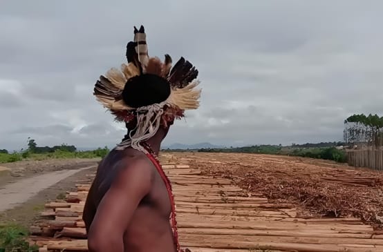 Brasile: integrante di una popolazione indigena in una piantagione di eucalipto