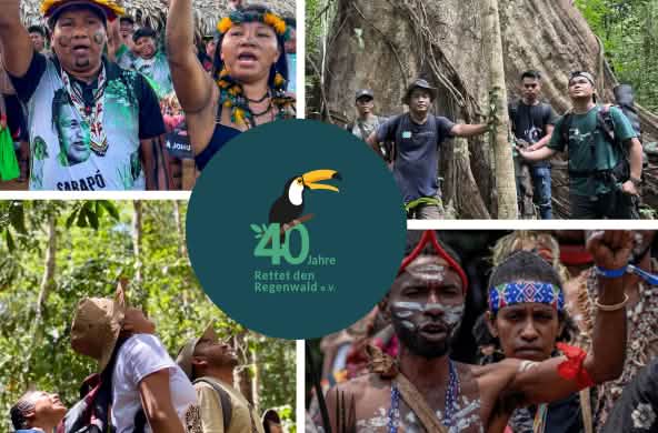 Collage per il 40º anniversario di Salviamo la Foresta