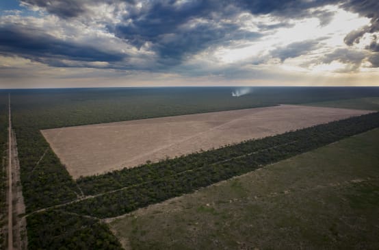La deforestazione del Chaco nella provincia del Chaco, Argentina