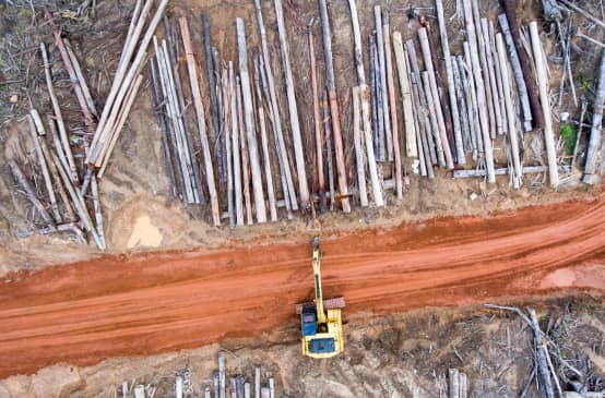 Foto aerea: Deforestazione per le piantagioni di palma da olio dell’azienda Korindo a Papua