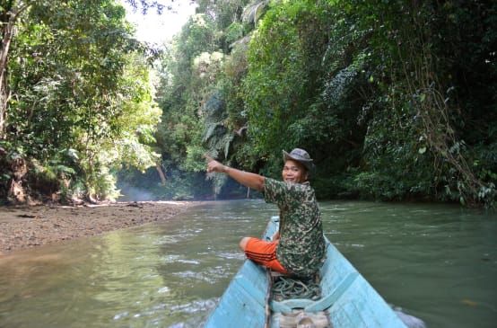 Un uomo su una barca indica la foresta pluviale di Sarawak, nel Borneo.