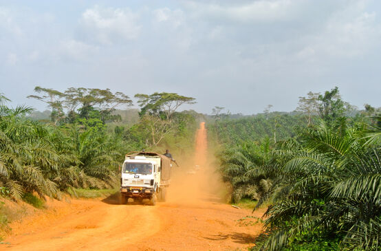 Un camion attraversa una piantagione di palma da olio in Liberia