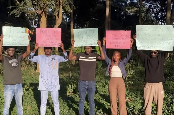 Manifestazione contro la distruzione della foresta.