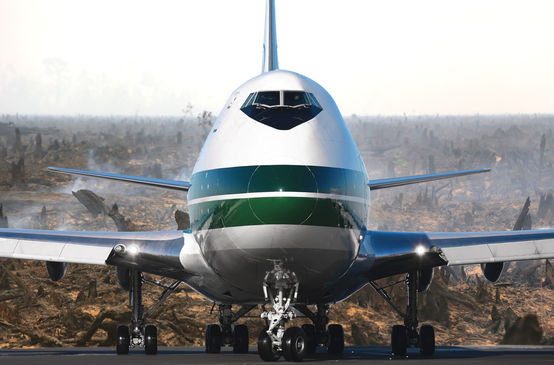 Aeroplano sopra una foresta distrutta