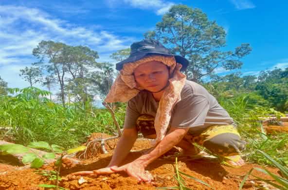 Una donna accovacciata a terra pianta un alberello