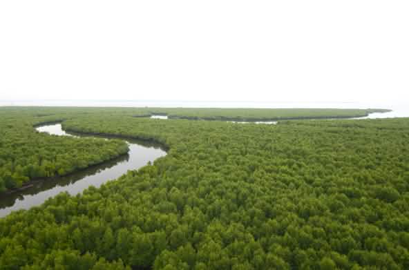 Salviamo la Foresta ha incontrato i suoi partner dell'Aceh Wetland Forum sul campo nel 2023.