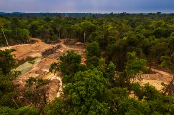 Una miniera d'oro illegale nella foresta tropicale
