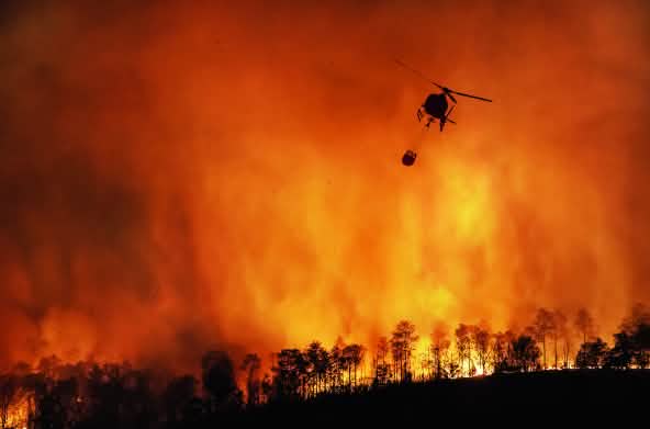 Incendio forestale