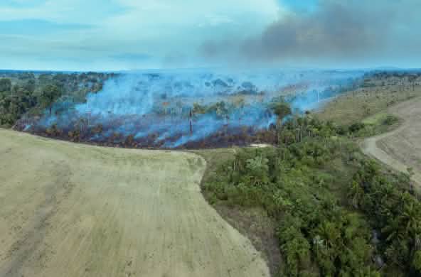 L'immagine mostra come la massiccia deforestazione per abbattimento e incendio stia aprendo la strada a nuove monocolture