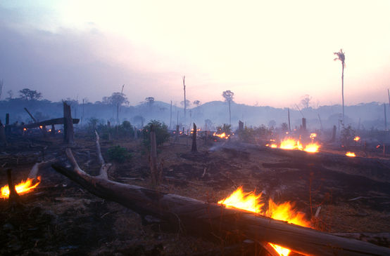 Incendio forestale in Brasile
