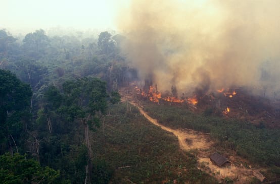 Incendio nell’ Amazzonia