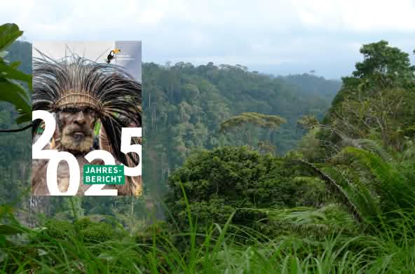 Rapporto annuale 2025, titolo su sfondo di foresta