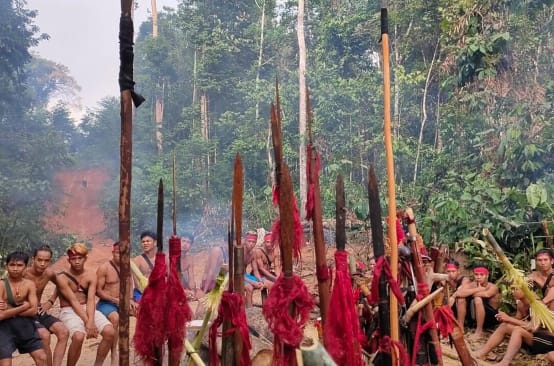 Gli indigeni Dayak Tomun protestano contro la distruzione della loro foresta da parte dell'azienda produttrice di olio di palma SML a Kinipan