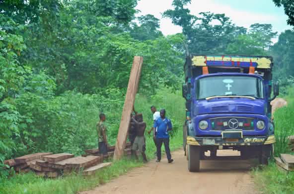 Uomini caricano tavole su un camion