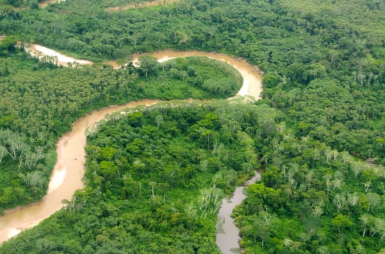 Veduta aerea dell'Amazzonia peruviana