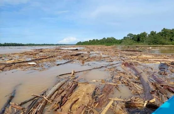 La deforestazione intasa un fiume con tronchi d'albero