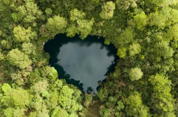 Una laguna a forma di cuore dalle acque scure circondata da una fitta selva verde; vista dall’alto si distingue chiaramente il contrasto tra l’acqua e la foresta.