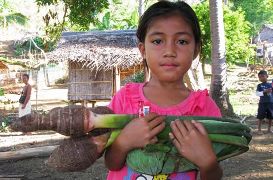 Una bambina di Palwan ha tra le braccia il Taro, un vegetale locale, e sullo sfondo si intravede il villaggio