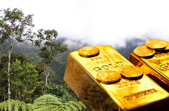 Fotomontaggio: Oro e foresta tropicale