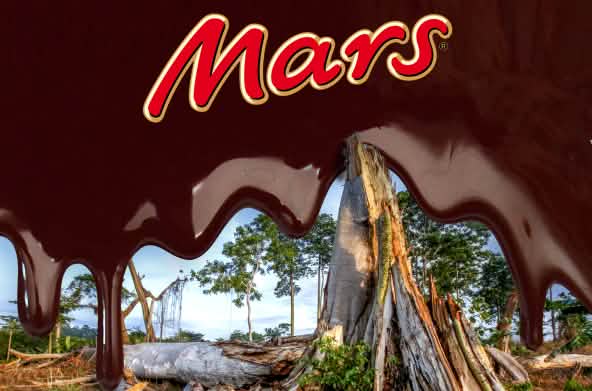 Fotomontaggio: la foresta abbattuta e il logo Mars