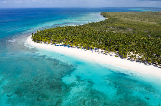 Vista aerea dell'isola di Saona nella Repubblica Dominicana con palme da cocco in mezzo al mar dei Caraibi azzurro cobalto