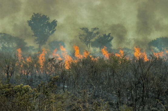 Incendi nell'Amazzonia brasiliana