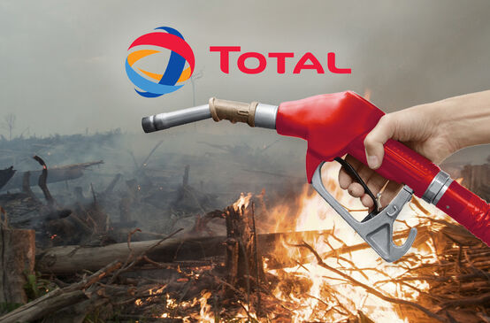 Fotomontaggio con immagini di deforestazione con un logo della compagnia Total sovrapposto.