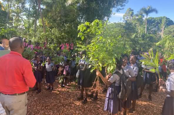 Gli studenti piantano alberi nell'ambito del progetto di riforestazione dell'Università Itinerante della Resistenza, UNIR Haiti