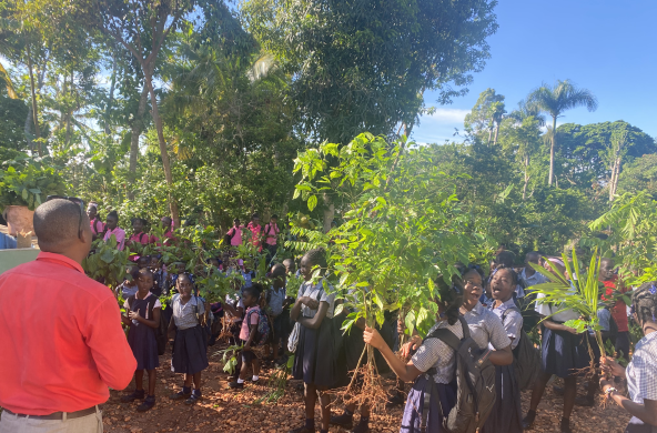 Gli studenti piantano alberi nell'ambito del progetto di riforestazione dell'Università Itinerante della Resistenza, UNIR Haiti