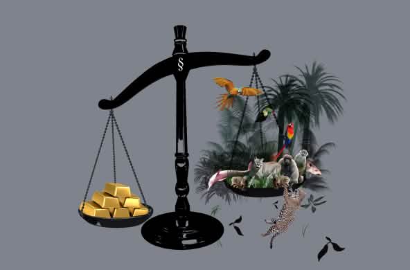 Una bilancia in cui si pesa l'oro contro la foresta, e quest'ultima ne esce sconfitta.