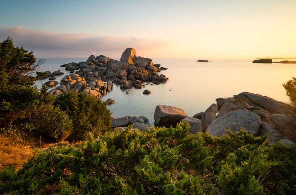 Foresta sempreverde in Sardegna, Italia