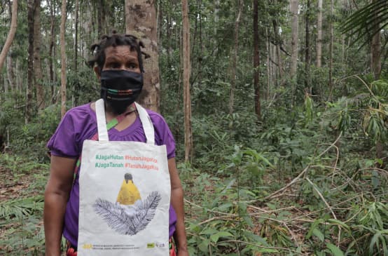 Una protesta a Papua: Proteggiamo la foresta - la foresta ci protegge