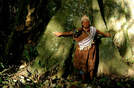 Un guardiano della foresta