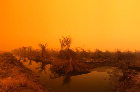 Incendio della comunità di Puding, distretto di Muaro Jambi, Sumatra, settembre 2019