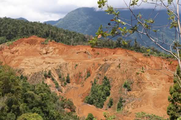 L'estrazione mineraria per la transizione energetica distrugge le foreste pluviali