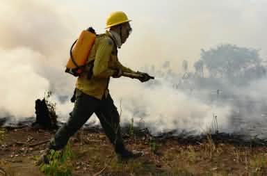 Le pompe a zaino dorsali sono indispensabili per lottare contro gli incendi nelle vaste aree di foresta tropicale di difficile accesso