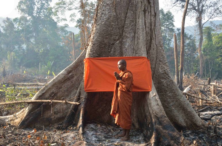 Monaco di profilo, vestito di arancione, con le mani in segno di preghiera, davanti a un albero dal quale pende una fascia anch'essa di colore arancione.