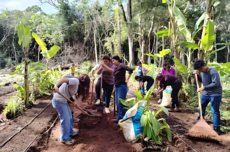 Un gruppo di persone appartenenti alla cooperativa Tu’úmben Ko’oben lavorano insieme alla realizzazione di un orto
