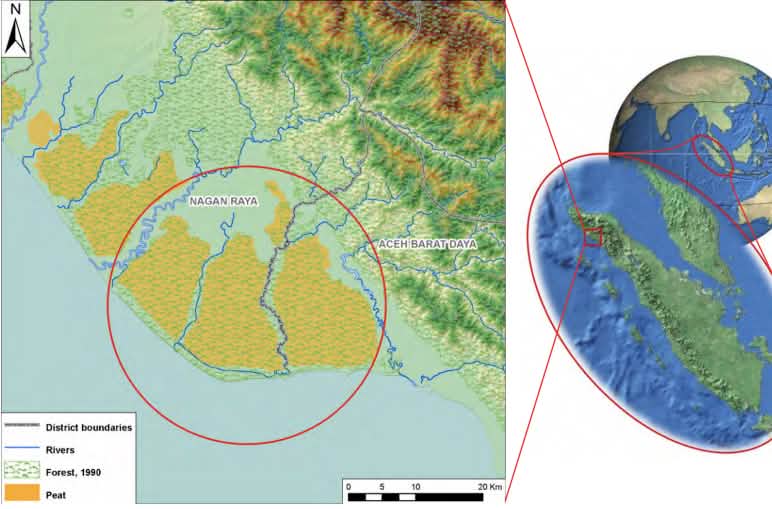 Le ultime foreste rimaste nelle torbiere di Tripa hanno bisogno di protezione – per gli oranghi e per il clima!